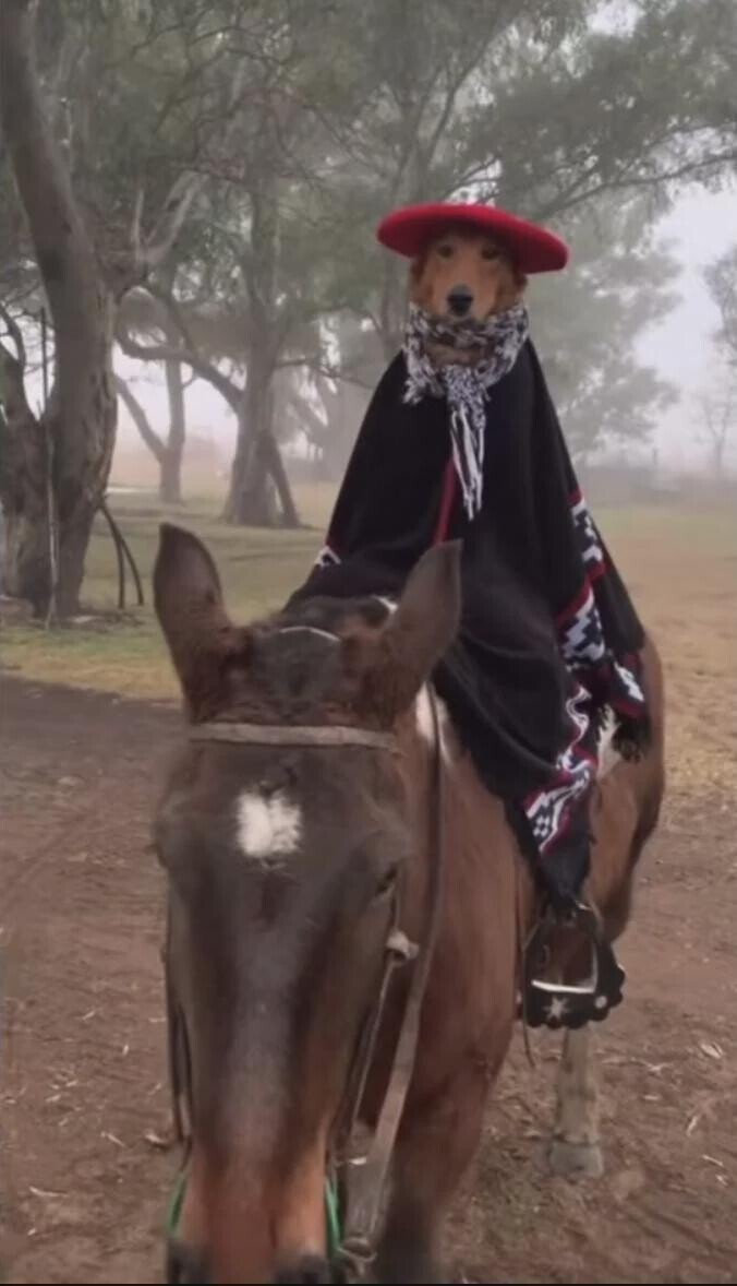 Unexpected Photos That Should Be Hanged In The Louvre