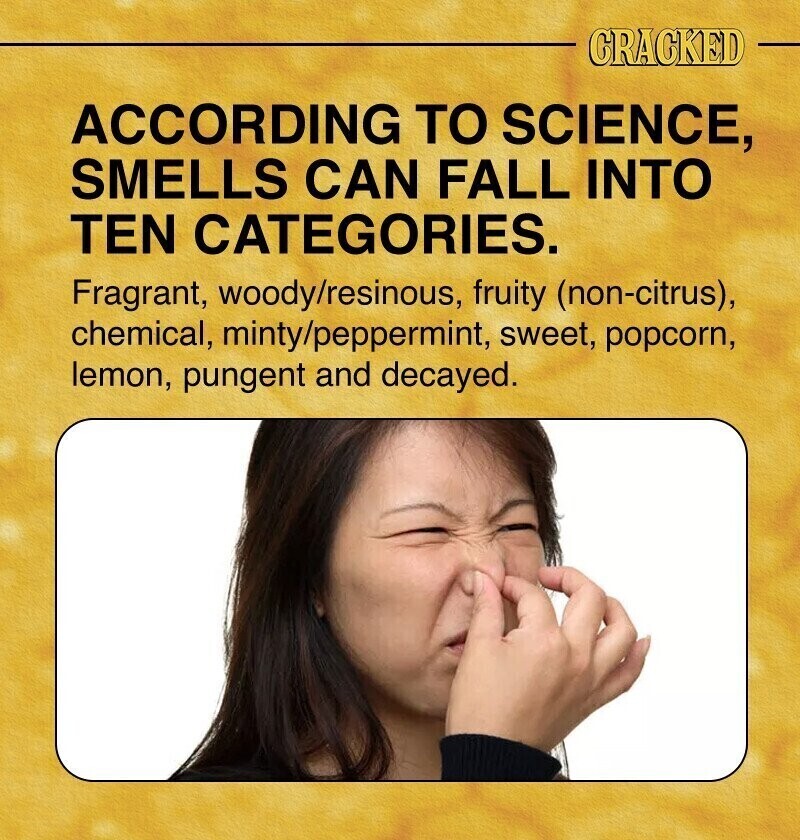 CRACKED ACCORDING TO SCIENCE, SMELLS CAN FALL INTO TEN CATEGORIES. Fragrant, woody/resinous, fruity (non-citrus), chemical, minty/peppermint, sweet, popcorn, lemon, pungent and decayed.