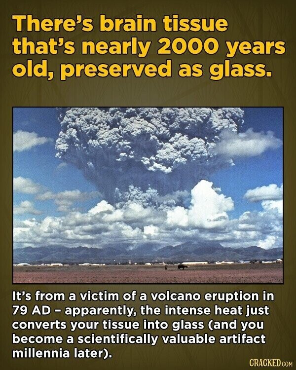 There's brain tissue that's nearly 2000 years old, preserved as glass. It's from a victim of a volcano eruption in 79 AD-apparently, the intense heat just converts your tissue into glass (and you become a scientifically valuable artifact millennia later). CRACKED.COM