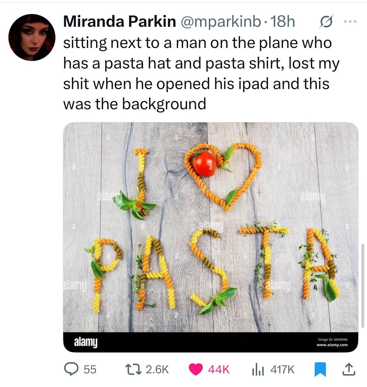 Miranda Parkin @mparkinb . 18h s ... sitting next to a man on the plane who has a pasta hat and pasta shirt, lost my shit when he opened his ipad and this was the background a Marit alamy alamy ST alamy alamy Image ID: M45M4A www.alamy.com 55 2.6K 44K 417K 