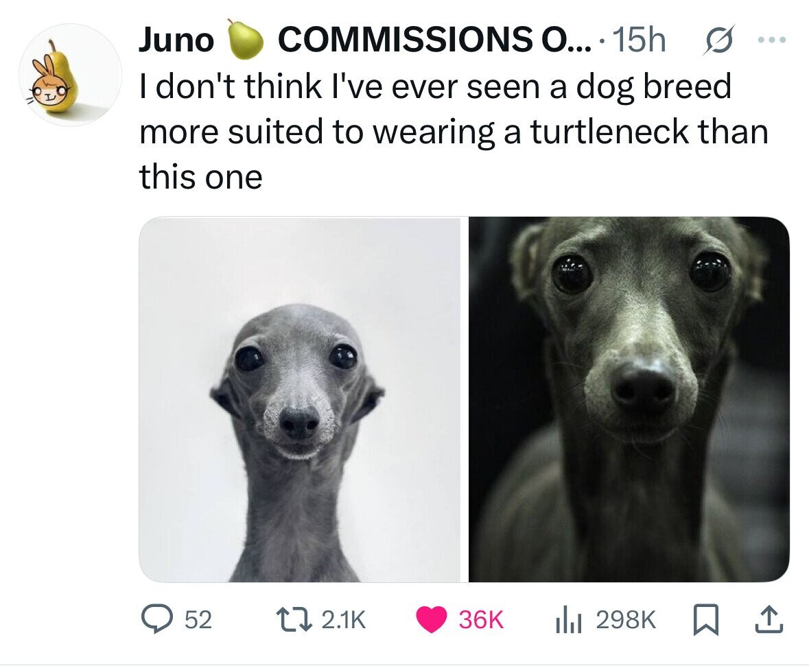 Juno COMMISSIONS О... 15h ... I don't think I've ever seen a dog breed more suited to wearing a turtleneck than this one 52 2.1K 36K del 298K 