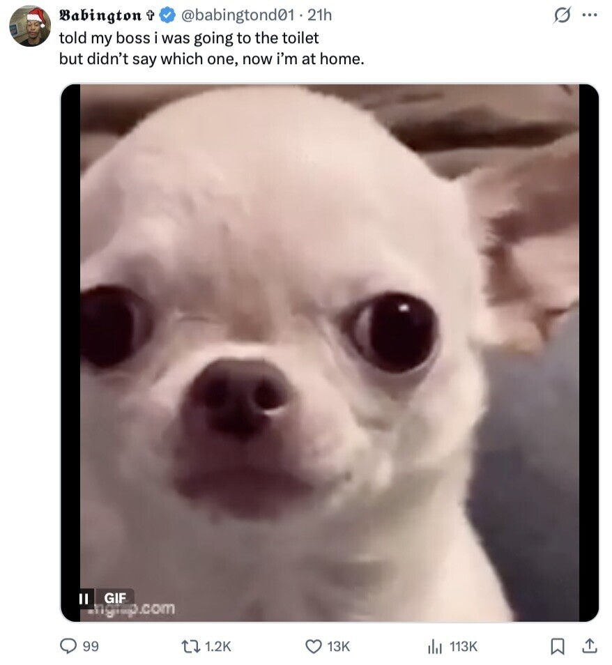 @babingtond01.2 21h S ... Babington t told my boss i was going to the toilet but didn't say which one, now i'm at home. GIF inglip.com 99 1.2K 13K du 113K 