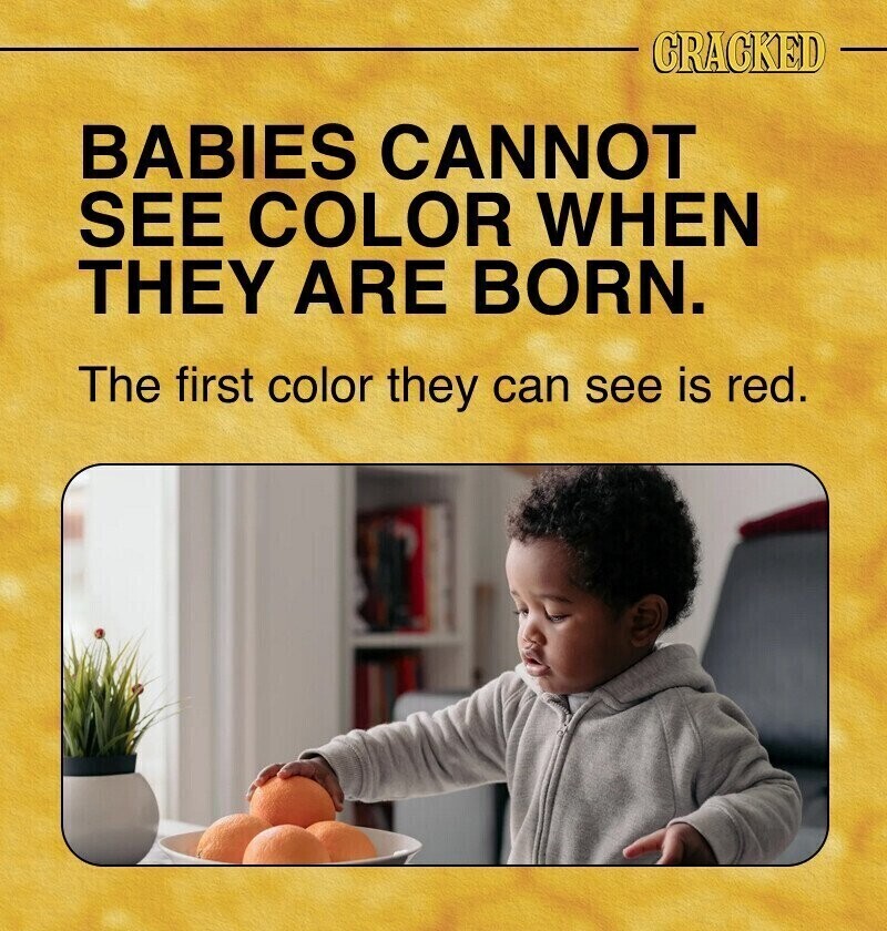CRACKED BABIES CANNOT SEE COLOR WHEN THEY ARE BORN. The first color they can see is red.