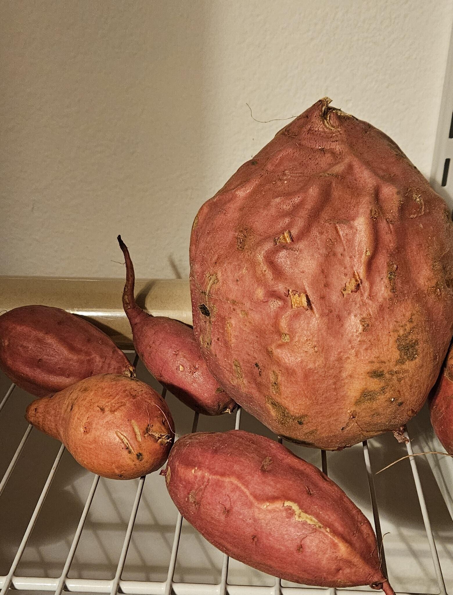 Tk Regular Things That Are Way Bigger Than You Think