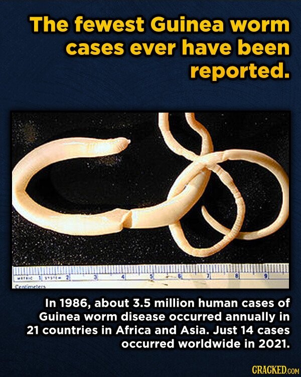 The fewest Guinea worm cases ever have been reported. 8 و 2 4 1 METRIC Centimeters In 1986, about 3.5 million human cases of Guinea worm disease occurred annually in 21 countries in Africa and Asia. Just 14 cases occurred worldwide in 2021. CRACKED.COM