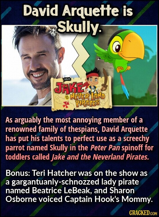 David Arquette is Skully. Disney JAKE DO so NEVER LAND PIRATES As arguably the most annoying member of a renowned family of thespians, David Arquette has put his talents to perfect use as a screechy parrot named Skully in the Peter Pan spinoff for toddlers called Jake and the Neverland Pirates. Bonus: Teri Hatcher was on the show as a gargantuanly-schnozzed lady pirate named Beatrice LeBeak, and Sharon Osborne voiced Captain Hook's Mommy. CRACKED.COM