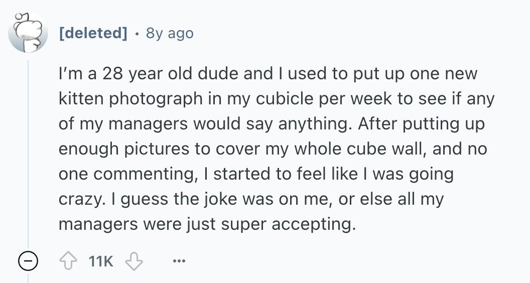  . 8y ago I'm a 28 year old dude and I used to put up one new kitten photograph in my cubicle per week to see if any of my managers would say anything. After putting up enough pictures to cover my whole cube wall, and no one commenting, I started to feel like I was going crazy. I guess the joke was on me, or else all my managers were just super accepting. - 11K ... 