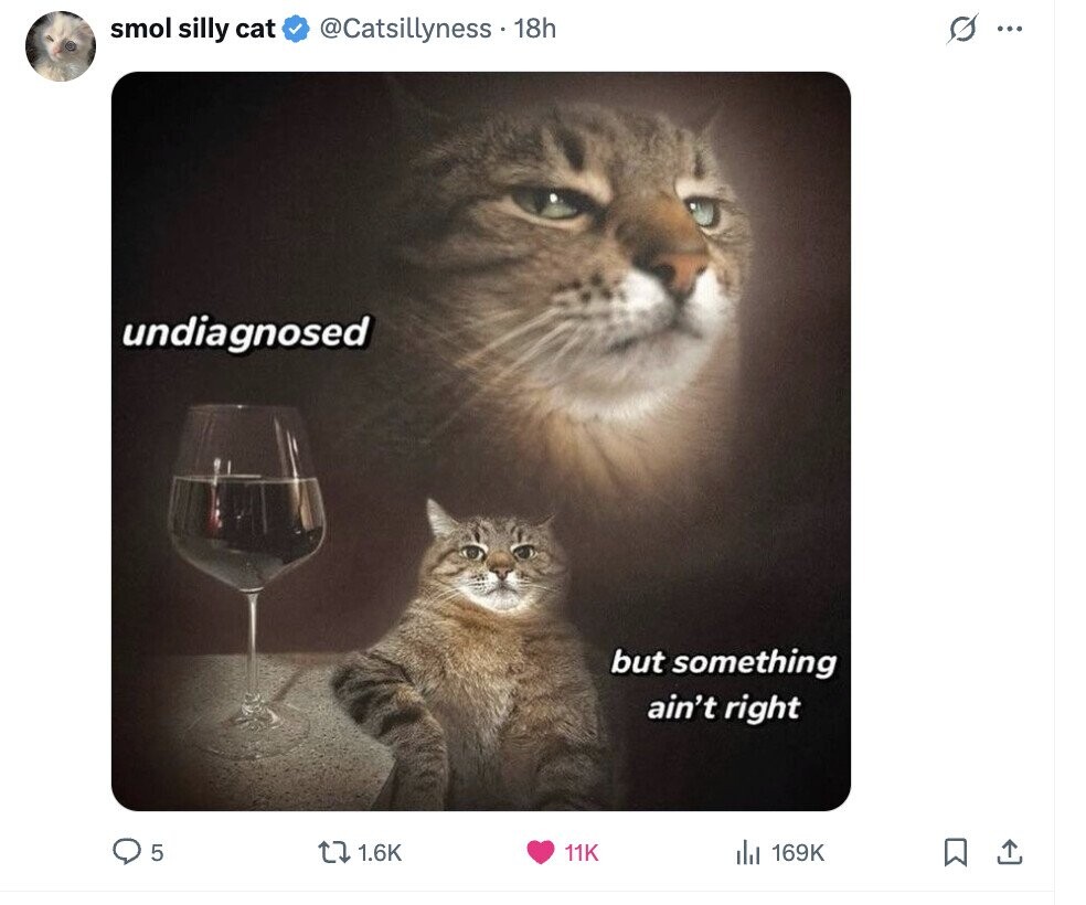 smol silly cat s ... @Catsillyness $ 18h undiagnosed but something ain't right 5 1.6K 11K 169K 