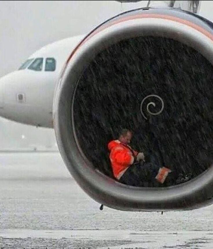 Unexpected Photos That Should Be Hanged In The Louvre