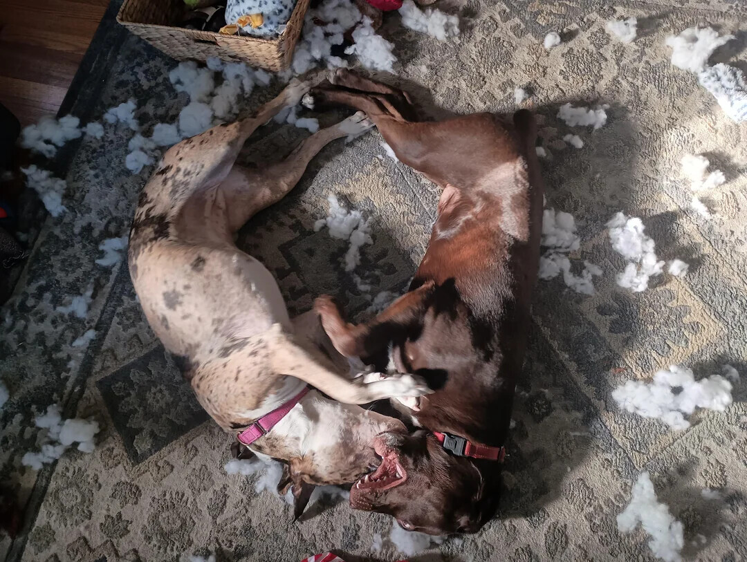 Photos That Get Stranger the Closer You Look