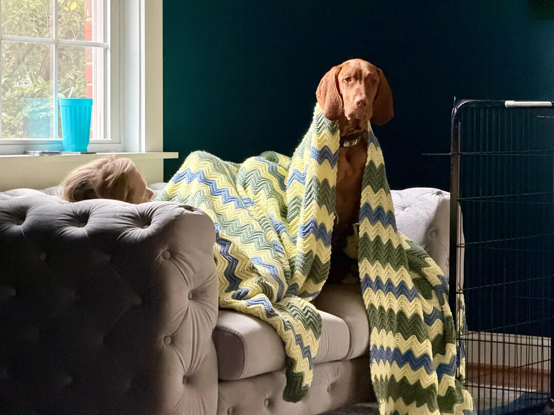 Photos That Get Stranger the Closer You Look