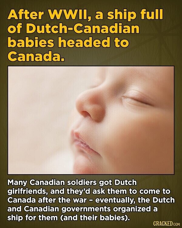 After WWII, a ship full of Dutch-Canadian babies headed to Canada. Many Canadian soldiers got Dutch girlfriends, and they'd ask them to come to Canada after the war - eventually, the Dutch and Canadian governments organized a ship for them (and their babies). CRACKED.COM
