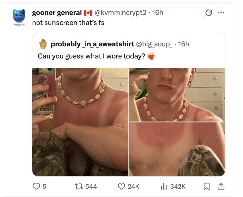 gooner general @kvmmincrypt2.16h ... meow for not sunscreen that's fs probably _in_a_sweatshirt @big_soup_.16h Can you guess what I wore today? 5 544 24K del 342K