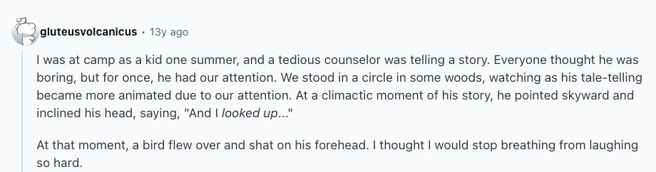 gluteusvolcanicus 13y ago | was at camp as a kid one summer, and a tedious counselor was telling a story. Everyone thought he was boring, but for once, he had our attention. We stood in a circle in some woods, watching as his tale-telling became more animated due to our attention. At a climactic moment of his story, he pointed skyward and inclined his head, saying, And I looked up... At that moment, a bird flew over and shat on his forehead. I thought I would stop breathing from laughing so hard. 