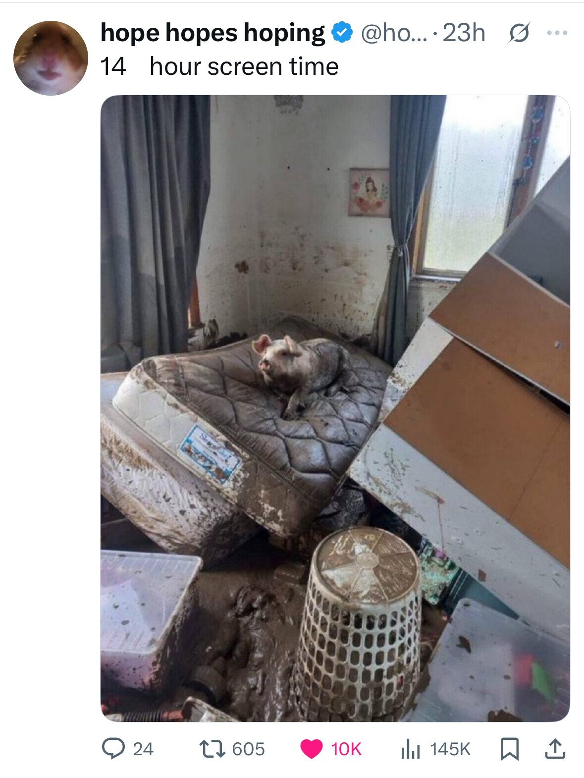 hope hopes hoping @ho....23h s ... 14 hour screen time 24 10K 605 145K 