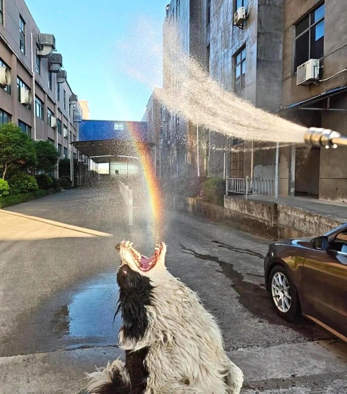 Unexpected Photos That Should Be Hanged In The Louvre