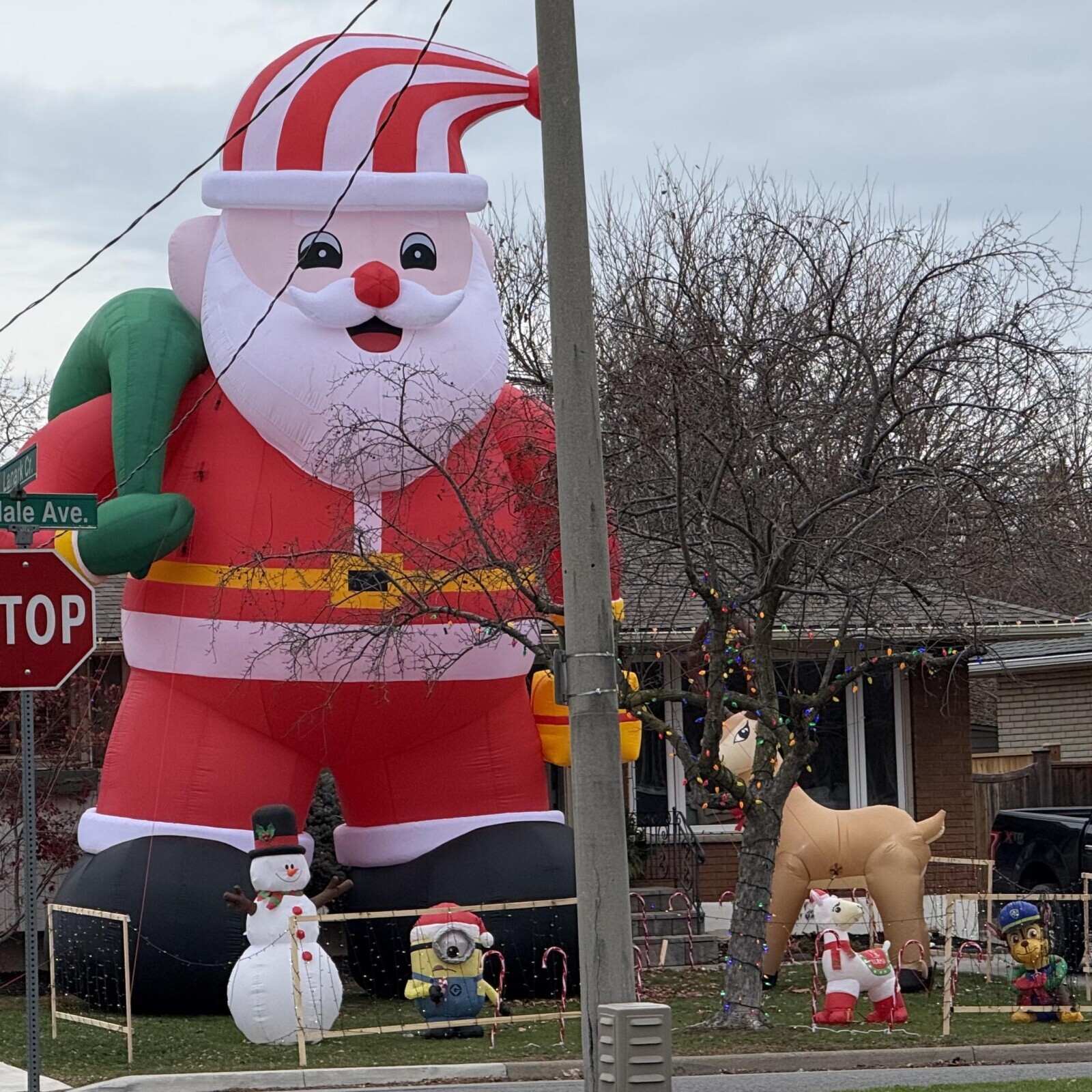 anark Cr. ale Ave. TOP