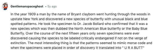 Gentlemanspaceghost . 5y ago In the year 1909 a man by the name of Bryant clayborn went hunting through the woods in upstate New York and discovered a new species of butterfly with unusual black and blue spotted patterns. Не took the specimen to Dr. Jacob Bollard who confirmed that it was a new species which was then dubbed the North American Blue butterfly or the Baby Blue Butterfly. Over the course of the next fifteen years only seven specimens were ever discovered causing the species to be labeled critically endangered if not on the verge of extinction. The most 