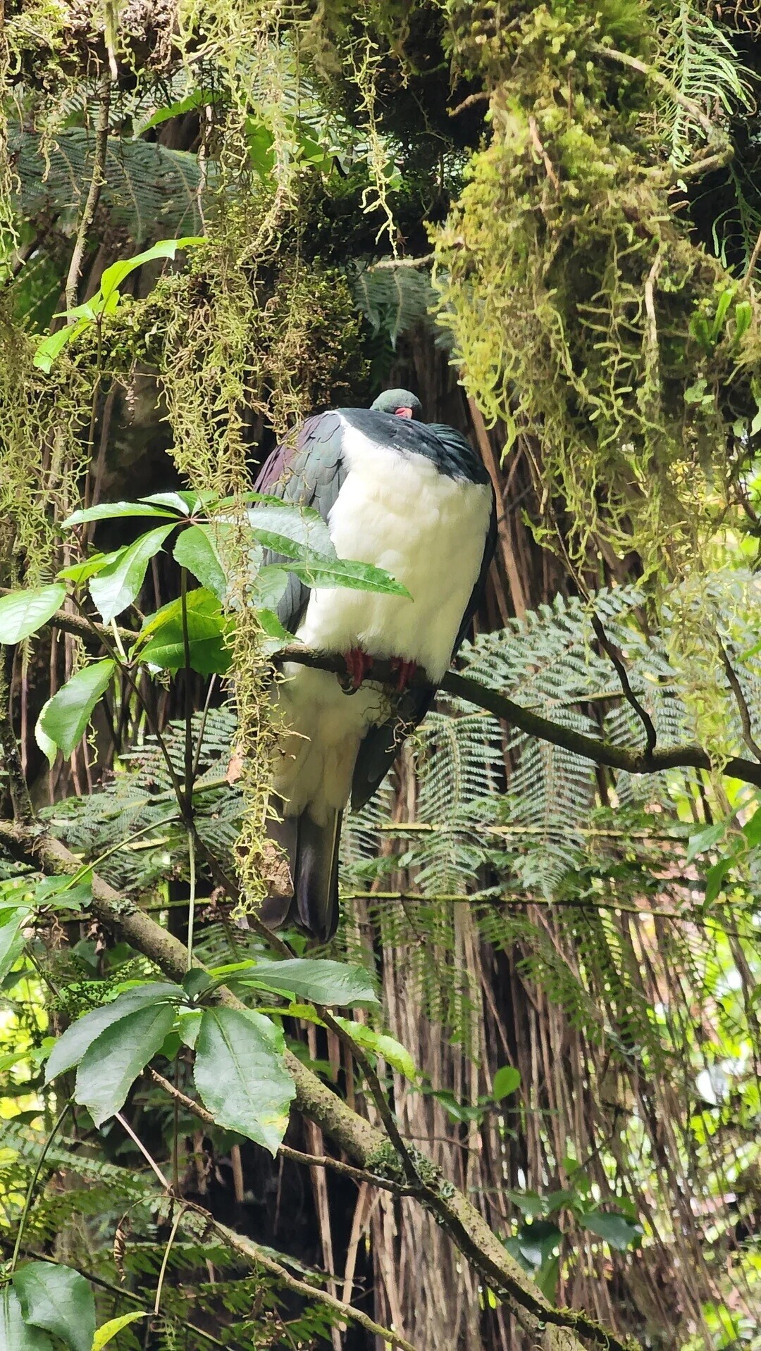 Tk Regular Things That Are Way Bigger Than You Think