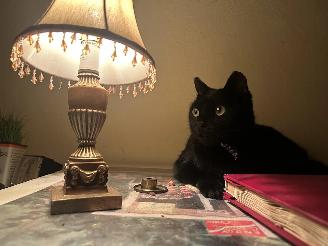 E1275. - Coke AREN 3