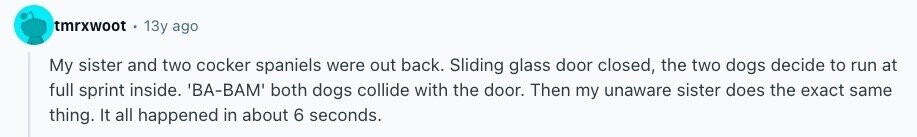 tmrxwoot 13y ago My sister and two cocker spaniels were out back. Sliding glass door closed, the two dogs decide to run at full sprint inside. 'BA-BAM' both dogs collide with the door. Then my unaware sister does the exact same thing. It all happened in about 6 seconds. 
