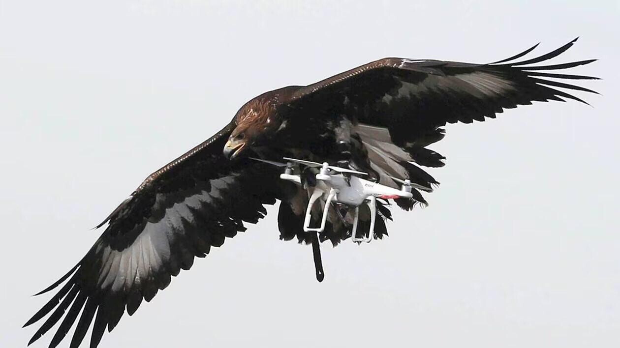 Unexpected Photos That Should Be Hanged In The Louvre