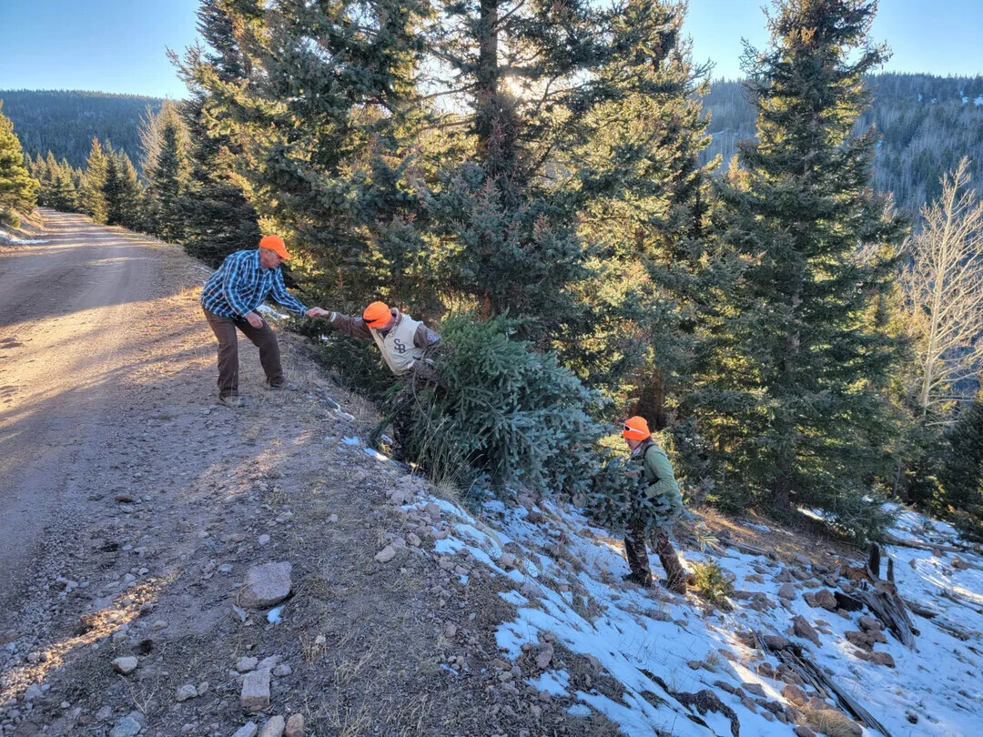 Photos That Get Stranger the Closer You Look