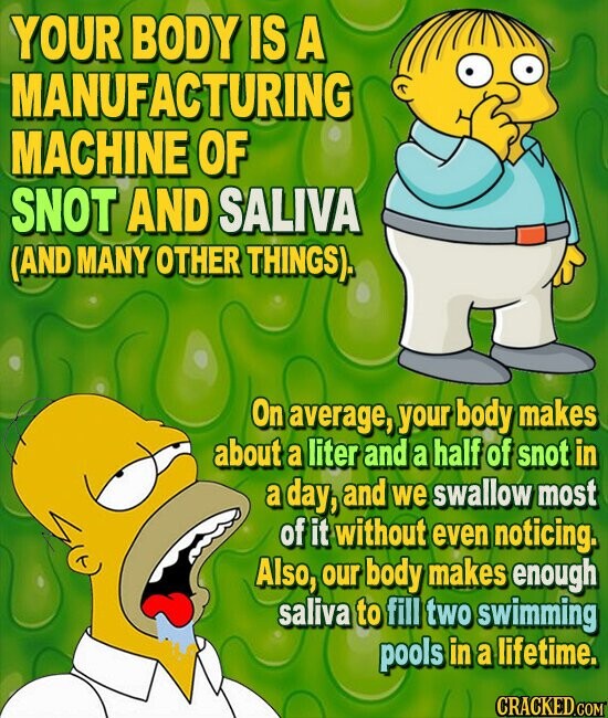 YOUR BODY IS A MANUFACTURING MACHINE OF SNOT AND SALIVA (AND MANY OTHER THINGS]. On average, your body makes about a liter and a half of snot in a day, and we swallow most of it without even noticing. Also, our body makes enough saliva to fill two swimming pools in a lifetime. CRACKED.COM