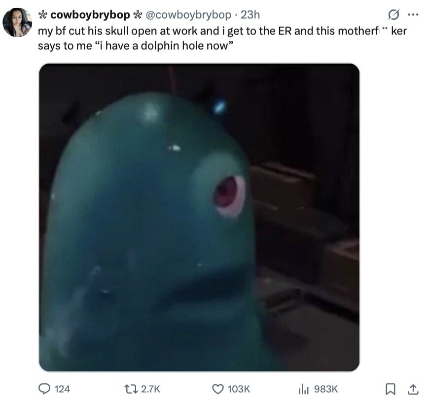 G ... cowboybrybop @cowboybrybop 23h my bf cut his skull open at work and i get to the ER and this motherf** ker says to me i have a dolphin hole now 124 2.7K 103K 983K 
