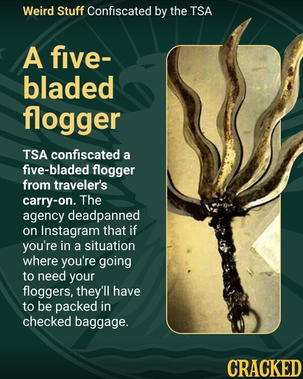 15 Hilariously Interesting Things The TSA Has Confiscated Recently |  