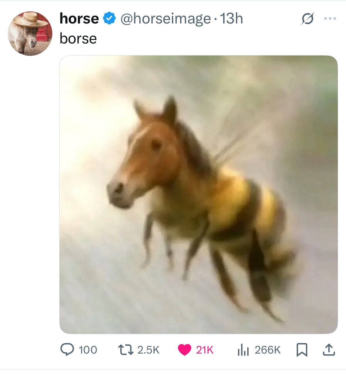 horse @horseimage.13h G ... borse 100 2.5K 21K 266K 