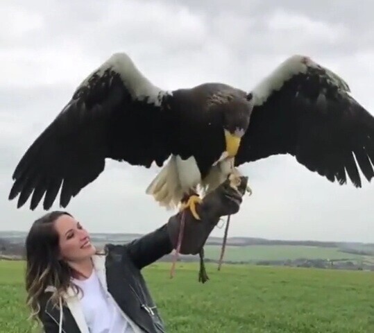 Tk Regular Things That Are Way Bigger Than You Think