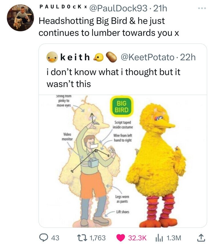 PAULDOCK x @PaulDock93-21h Headshotting Big Bird & he just continues to lumber towards you X keith @KeetPotato.22h i don't know what i thought but it wasn't this String from pinky to BIG move eyes BIRD Script taped inside costume Video Wire from left monitor hand to right Legs worn as pants Lift shoes 43 1,763 32.3K 1.3M