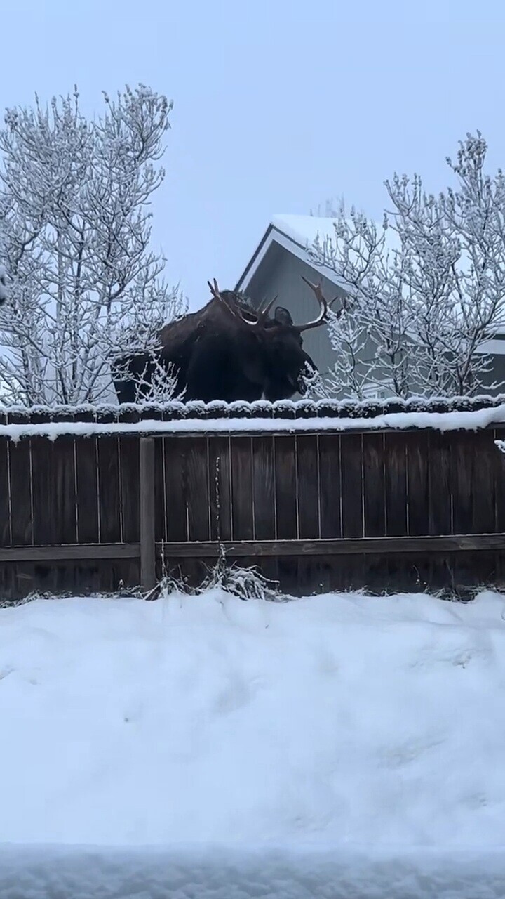 Tk Regular Things That Are Way Bigger Than You Think