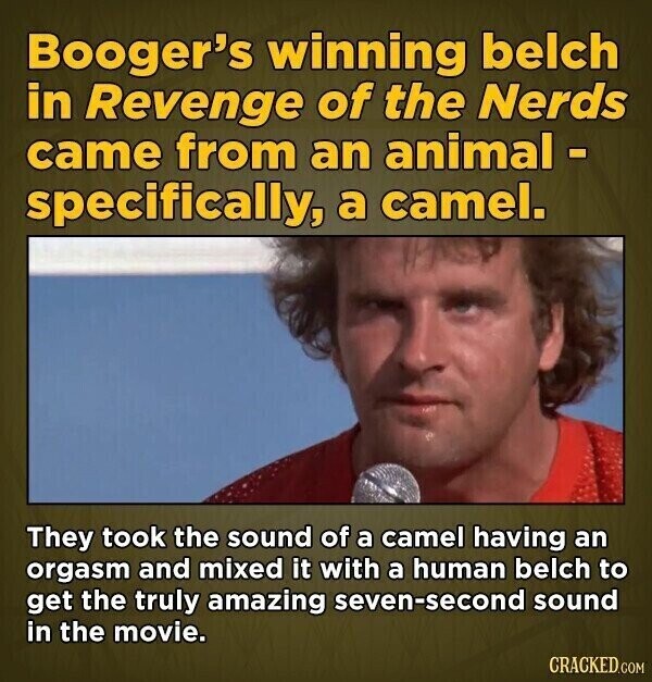 Booger's winning belch in Revenge of the Nerds came from an animal - specifically, a camel. They took the sound of a camel having an orgasm and mixed it with a human belch to get the truly amazing seven-second sound in the movie. CRACKED.COM