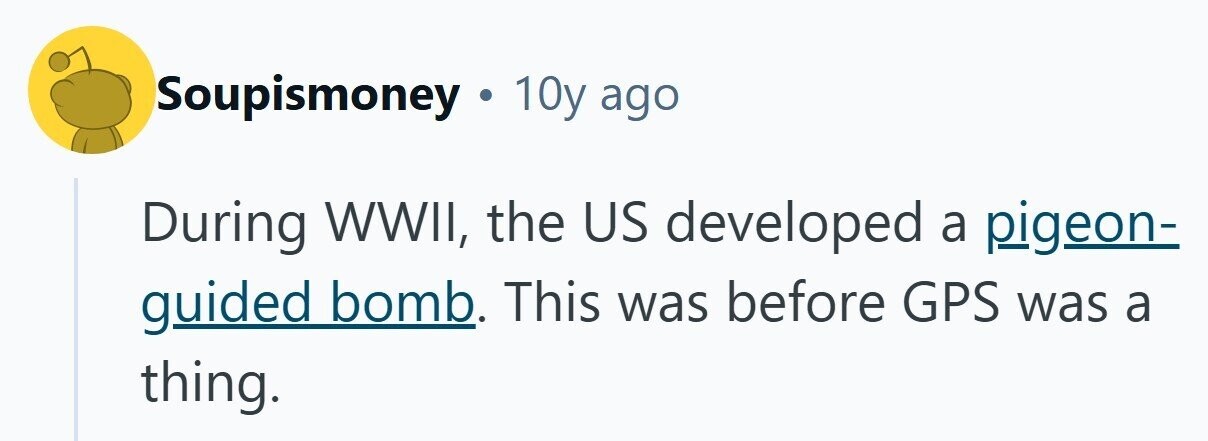 Soupismoney . 10y ago During WWII, the US developed a pigeon- guided bomb. This was before GPS was a thing. 
