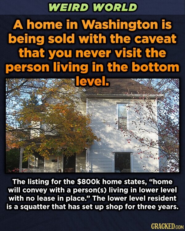 WEIRD WORLD A home in Washington is being sold with the caveat that you never visit the person living in the bottom level. The listing for the $800k home states, home will convey with a person(s) living in lower level with no lease in place. The lower level resident is a squatter that has set up shop for three years. CRACKED.COM