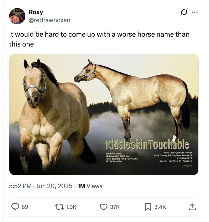 MART BELIEVE s Roxy ... @redrawnoxen It would be hard to come up with a worse horse name than this one KidslookinTouchable Rick Leek Quarter Horses Stud fee $1000 5095 Cassey Rd. Dryden, MI 48428 Multiple WC RWC sire 810-796-2828 Foals eligible for BHF, WCHA BITW futurities Owner: Cynthia M. Masters - 5:52 PM Jun 20, 2025 1M Views 89 1.9K 37K 3.4K