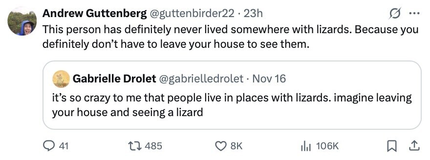 Andrew Guttenberg @guttenbirder22.2 23h ... This person has definitely never lived somewhere with lizards. Because you definitely don't have to leave your house to see them. Gabrielle Drolet @gabrielledrolet . Nov 16 it's so crazy to me that people live in places with lizards. imagine leaving your house and seeing a lizard 41 485 8K 106K 