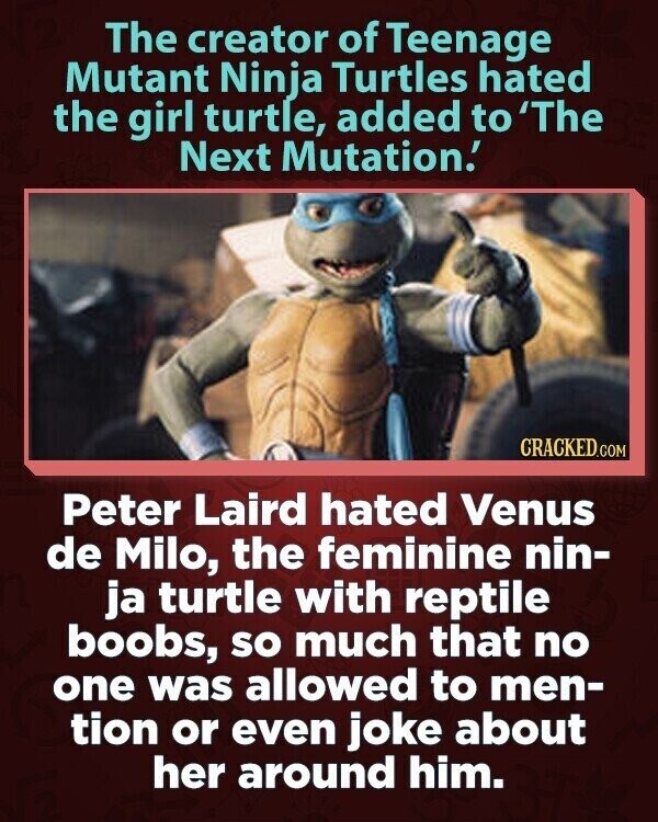 The creator of Teenage Mutant Ninja Turtles hated the girl turtle, added to 'The Next Mutation.' CRACKED.COM Peter Laird hated Venus de Milo, the feminine nin- ja turtle with reptile boobs, so much that no one was allowed to men- tion or even joke about her around him.