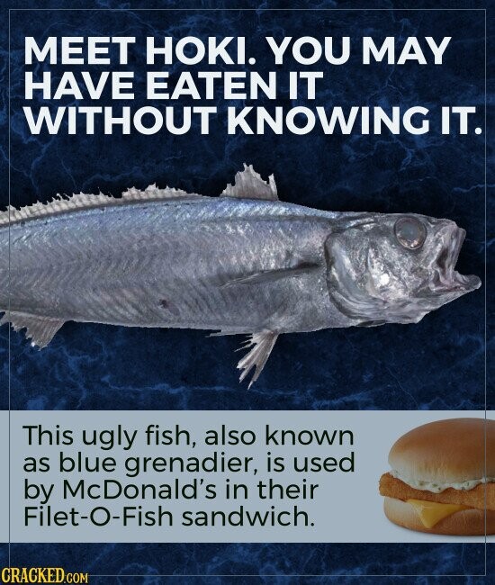 MEET HOKI. YOU MAY HAVE EATEN IT WITHOUT KNOWING IT. This ugly fish, also known as blue grenadier, is used by McDonald's in their Filet-O-Fish sandwich. CRACKED.COM