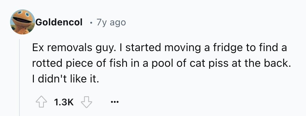 Goldencol . 7y ago Ex removals guy. I started moving a fridge to find a rotted piece of fish in a pool of cat piss at the back. I didn't like it. 1.3K ... 