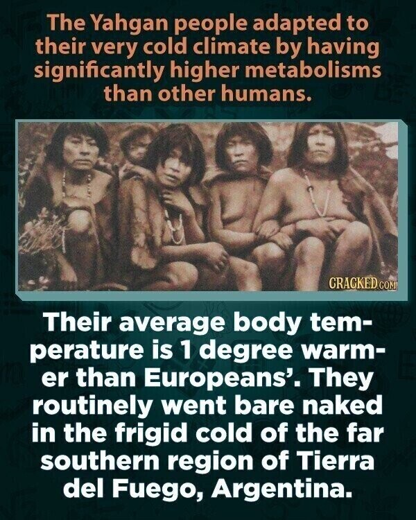 The Yahgan people adapted to their very cold climate by having significantly higher metabolisms than other humans. CRACKED.COM Their average body tem- perature is 1 degree warm- er than Europeans'. They routinely went bare naked in the frigid cold of the far southern region of Tierra del Fuego, Argentina.