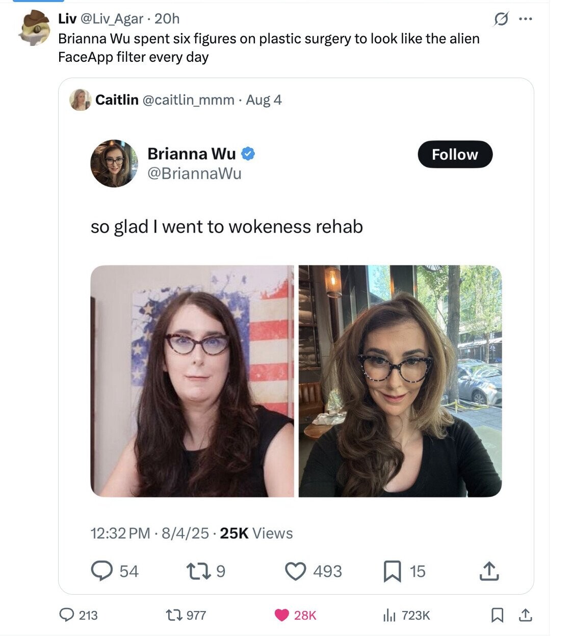 Liv @Liv_Agar . 20h G ... Brianna Wu spent six figures on plastic surgery to look like the alien FaceApp filter every day Caitlin @caitlin_mmm. Aug 4 Brianna Wu Follow @BriannaWu so glad I went to wokeness rehab 12:32PM 1 / 8/4/25.25K Views 9 54 493 15 213 977 28K del 723K 