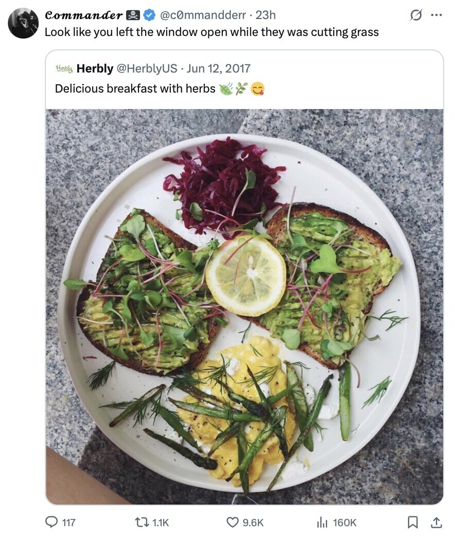 Commander @commandderr.23h s ... Look like you left the window open while they was cutting grass Herbly Herbly @HerblyUS Jun 12, 2017 Delicious breakfast with herbs 117 1.1K 9.6K 160K 