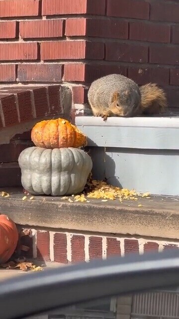 Tk Regular Things That Are Way Bigger Than You Think