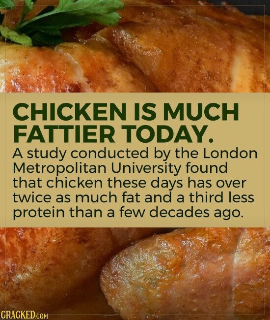 CHICKEN IS MUCH FATTIER TODAY. A study conducted by the London Metropolitan University found that chicken these days has over twice as much fat and a third less protein than a few decades ago. CRACKED.COM