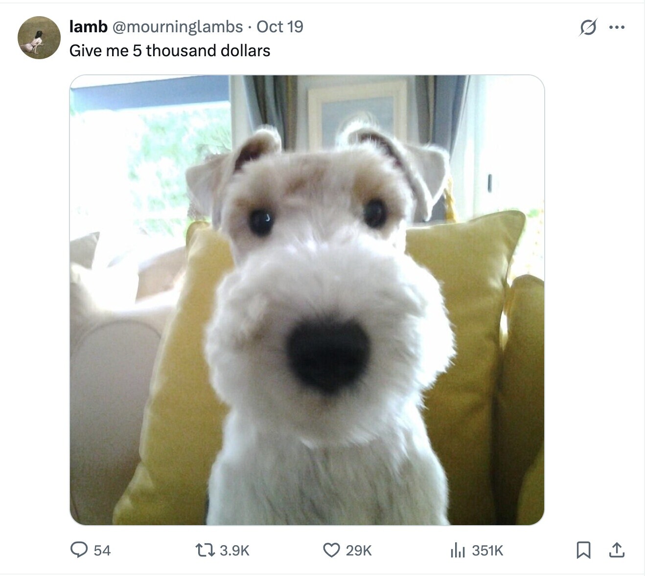 lamb @mourninglambs Oct 19 G ... Give me 5 thousand dollars 54 3.9K 29K 351K