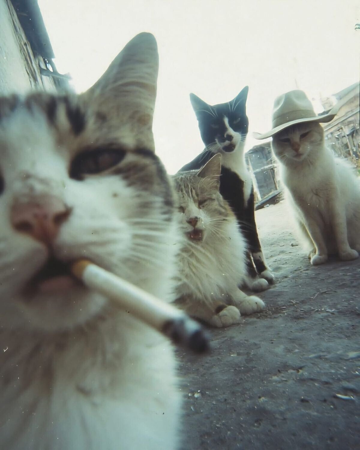 20 Photos Where Common Sense Was Left for Dead