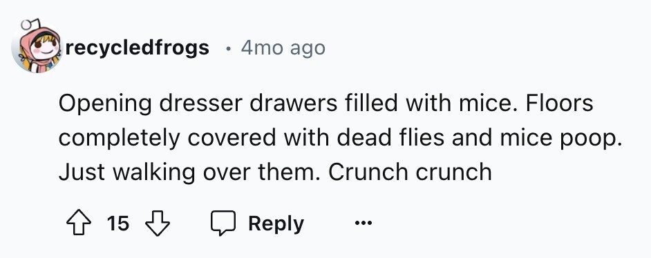 e 4mo ago recycledfrogs Opening dresser drawers filled with mice. Floors completely covered with dead flies and mice poop. Just walking over them. Crunch crunch 15 Reply ... 